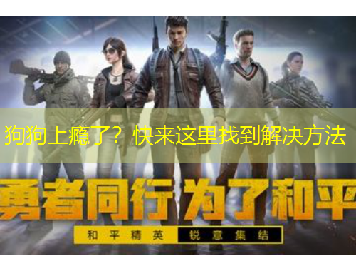 狗狗上癮了？快來(lái)這里找到解決方法