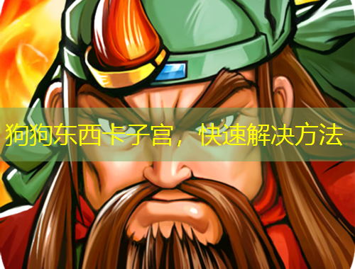 狗狗東西卡子宮，快速解決方法