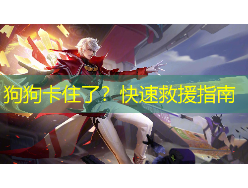 狗狗卡住了？快速救援指南