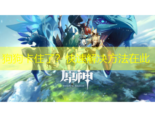 狗狗卡住了？快速解決方法在此