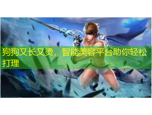 狗狗又長(zhǎng)又燙，智能美容平臺(tái)助你輕松打理