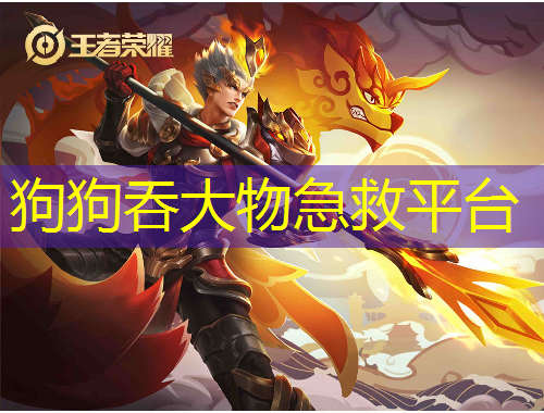 狗狗吞大物急救平臺