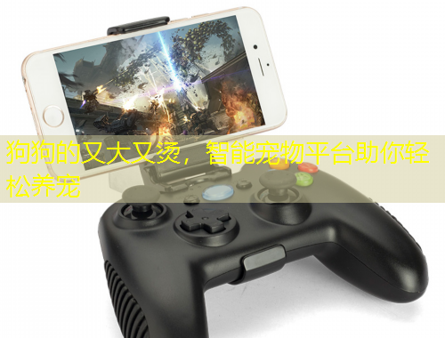 狗狗的又大又燙，智能寵物平臺助你輕松養(yǎng)寵