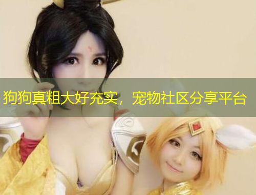狗狗真粗大好充實(shí)，寵物社區(qū)分享平臺(tái)