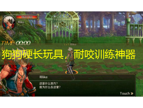 狗狗硬長玩具，耐咬訓練神器