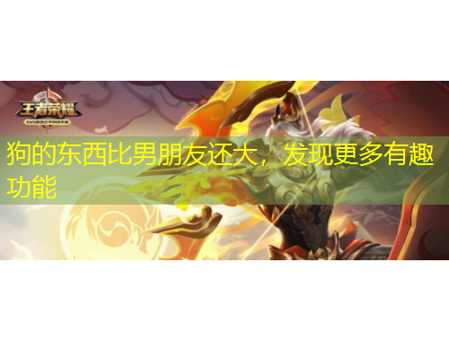 狗的東西比男朋友還大，發(fā)現(xiàn)更多有趣功能