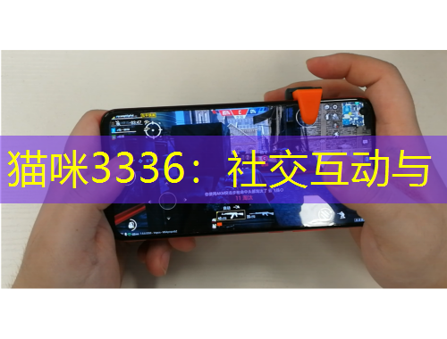 貓咪3336：社交互動與