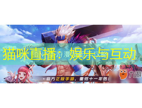 貓咪直播：娛樂(lè)與互動(dòng)