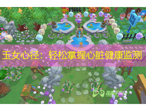 玉女心徑：輕松掌握心臟健康監(jiān)測