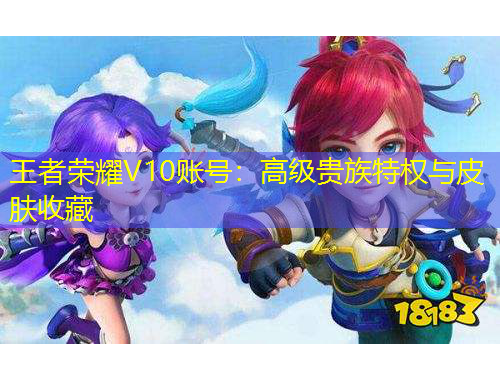 王者榮耀V10賬號(hào)：高級(jí)貴族特權(quán)與皮膚收藏