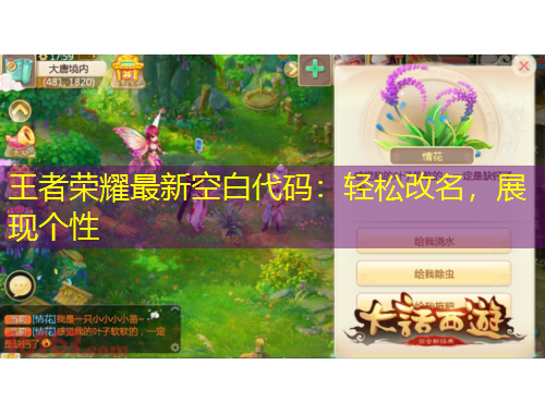 王者榮耀最新空白代碼：輕松改名，展現(xiàn)個(gè)性