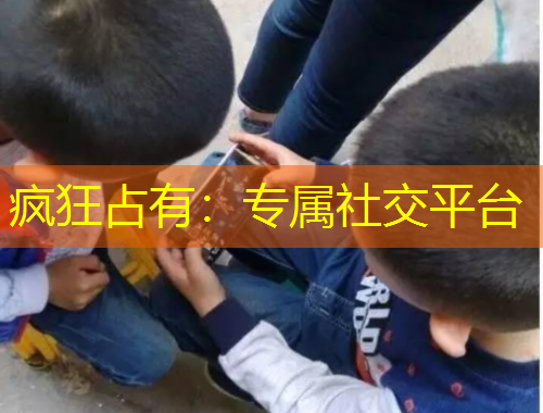 瘋狂占有：專屬社交平臺