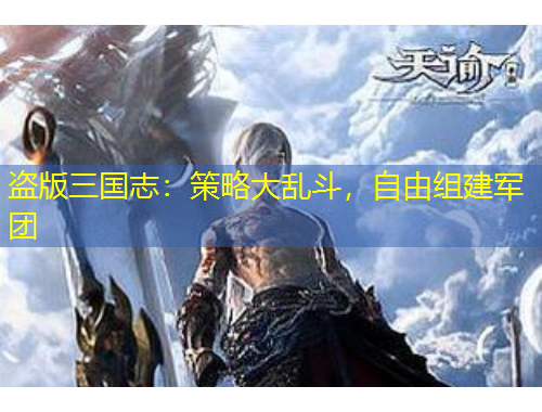 盜版三國志：策略大亂斗，自由組建軍團