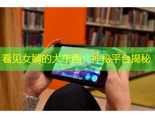 看見(jiàn)女婿的大東西：神秘平臺(tái)揭秘