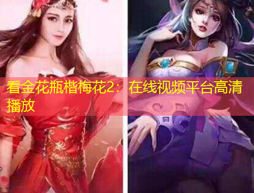看金花瓶楷梅花2：在線視頻平臺(tái)高清播放