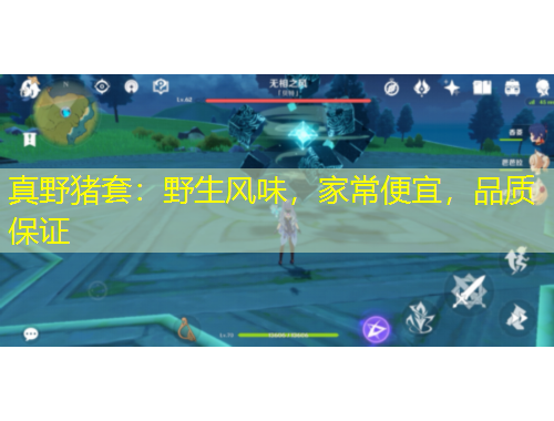 真野豬套：野生風(fēng)味，家常便宜，品質(zhì)保證