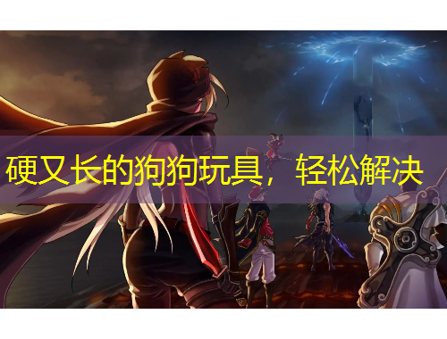 硬又長的狗狗玩具，輕松解決