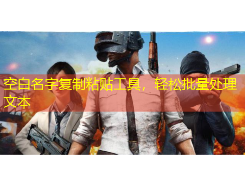 空白名字復(fù)制粘貼工具，輕松批量處理文本