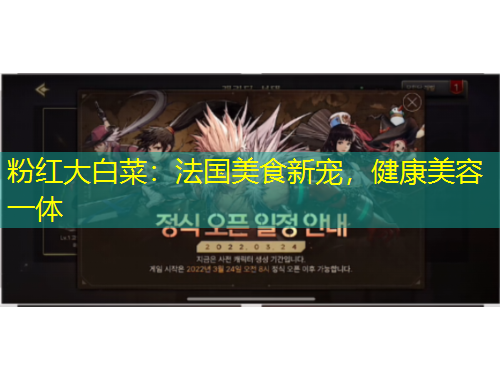 粉紅大白菜：法國(guó)美食新寵，健康美容一體