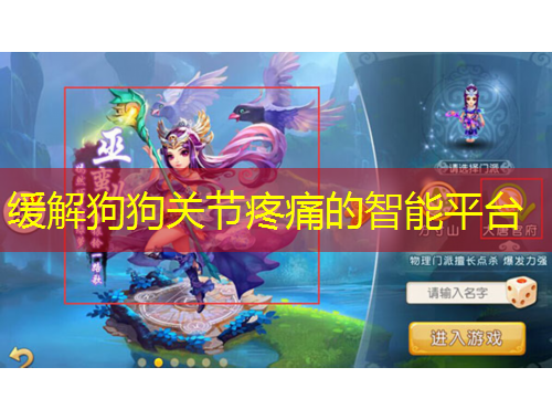 緩解狗狗關節(jié)疼痛的智能平臺