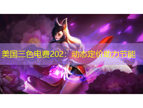 美國三色電費202：動態(tài)定價助力節(jié)能