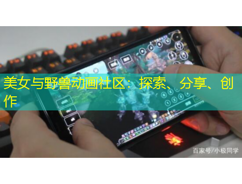 美女與野獸動(dòng)畫社區(qū)：探索、分享、創(chuàng)作