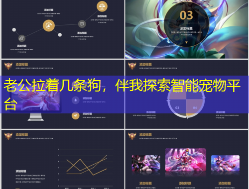 老公拉著幾條狗，伴我探索智能寵物平臺