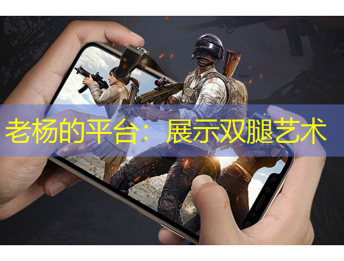 老楊的平臺(tái)：展示雙腿藝術(shù)