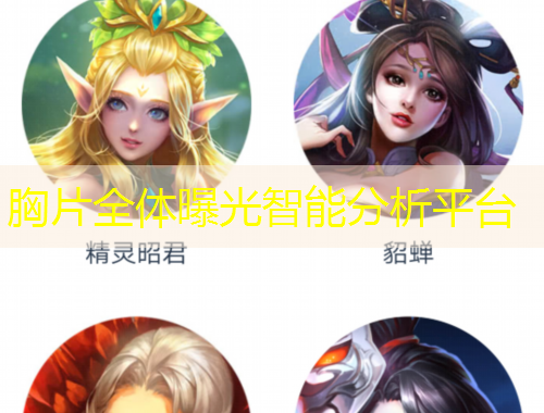 胸片全體曝光智能分析平臺(tái)