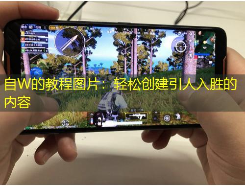 自W的教程圖片：輕松創(chuàng)建引人入勝的內(nèi)容