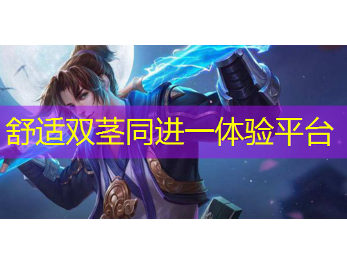 舒適雙莖同進(jìn)一體驗平臺