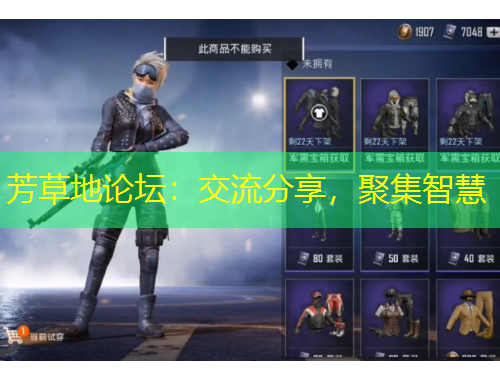 芳草地論壇：交流分享，聚集智慧