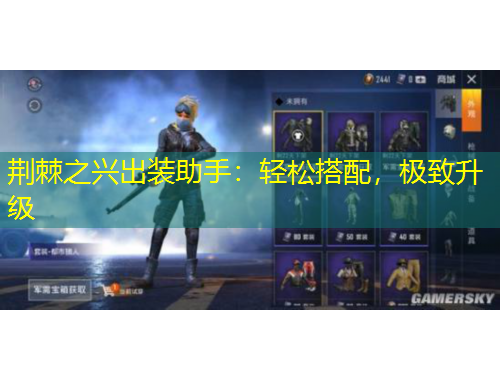 荊棘之興出裝助手：輕松搭配，極致升級