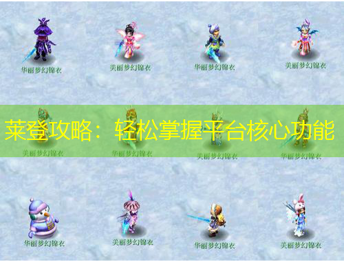 萊登攻略：輕松掌握平臺(tái)核心功能