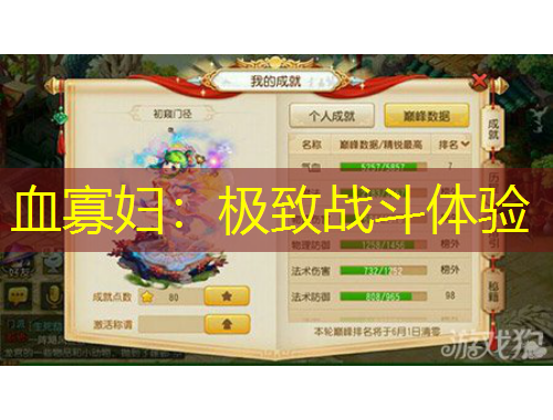 血寡婦：極致戰(zhàn)斗體驗