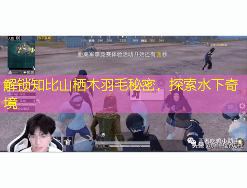 解鎖知比山棲木羽毛秘密，探索水下奇境