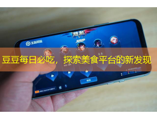 豆豆每日必吃，探索美食平臺(tái)的新發(fā)現(xiàn)