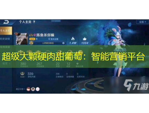 超級大顆硬肉甜葡萄：智能營銷平臺