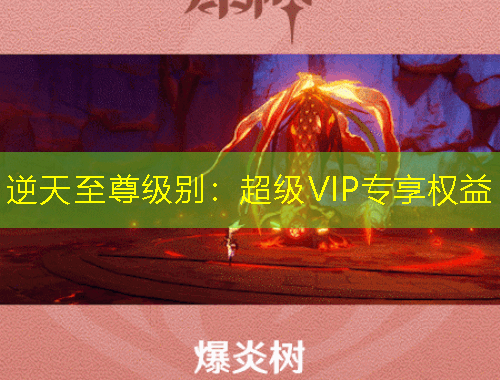 逆天至尊級別：超級VIP專享權(quán)益