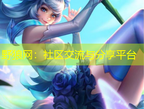 野狼網(wǎng)：社區(qū)交流與分享平臺