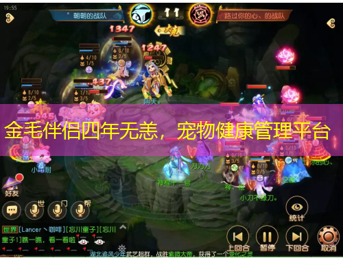 金毛伴侶四年無恙，寵物健康管理平臺