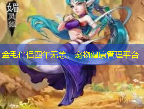 金毛伴侶四年無恙，寵物健康管理平臺