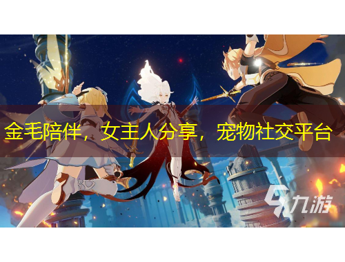 金毛陪伴，女主人分享，寵物社交平臺