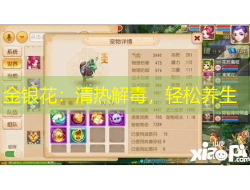 金銀花：清熱解毒，輕松養(yǎng)生