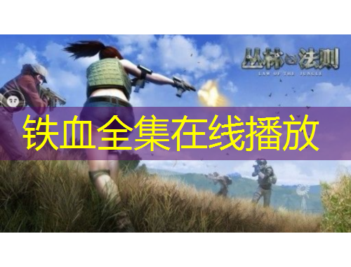 鐵血全集在線播放