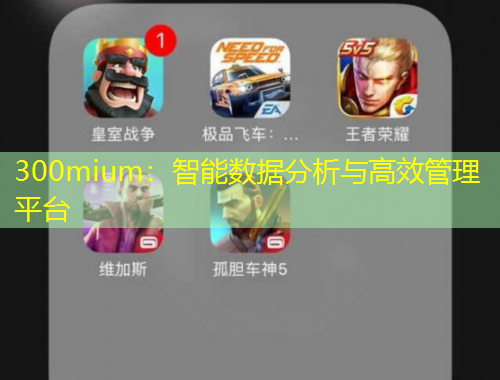 300mium：智能數(shù)據(jù)分析與高效管理平臺(tái)