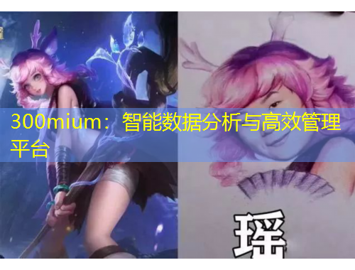 300mium：智能數(shù)據(jù)分析與高效管理平臺(tái)