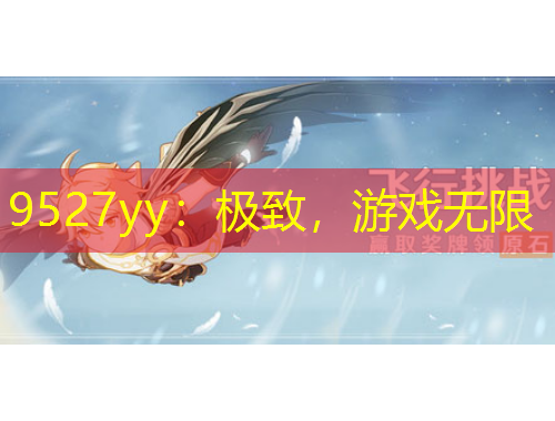 9527yy：極致，游戲無(wú)限