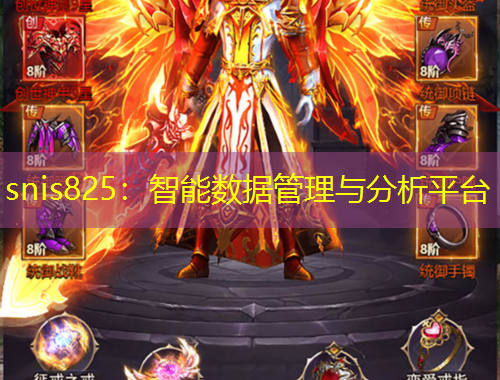 snis825：智能數(shù)據(jù)管理與分析平臺(tái)