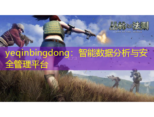 yeqinbingdong：智能數(shù)據(jù)分析與安全管理平臺(tái)